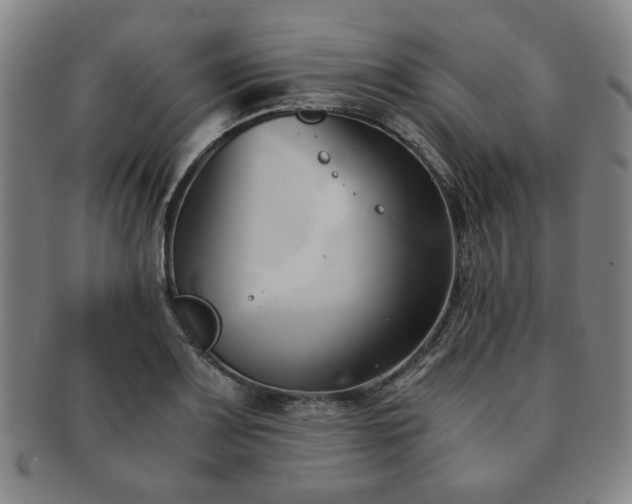 X0000091571083200708271153