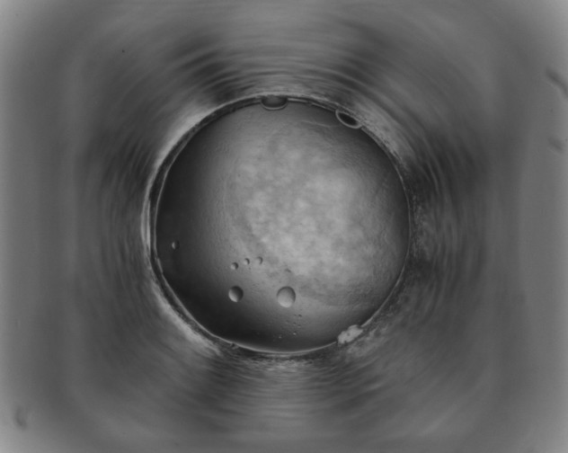 X0000091571084200708271153