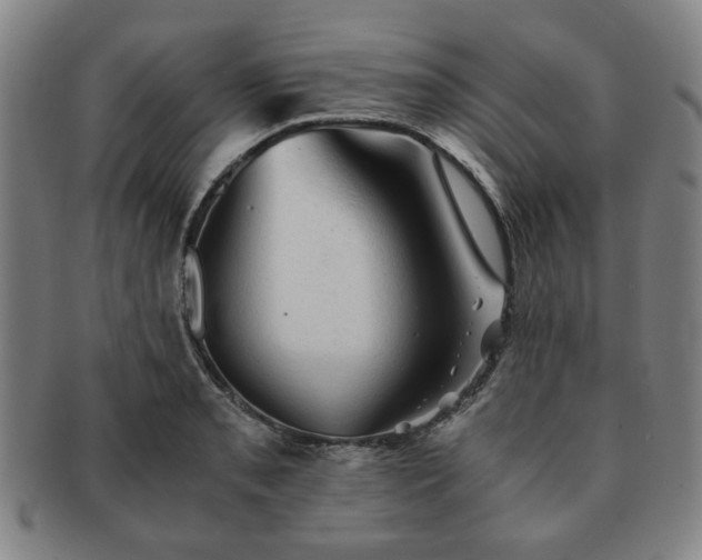 X0000091571085200708271153