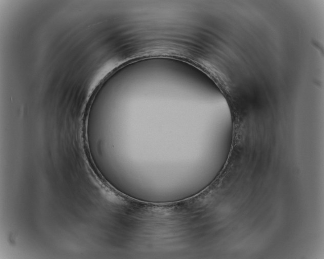 X0000091571086200708271152