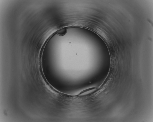 X0000091571087200708271152