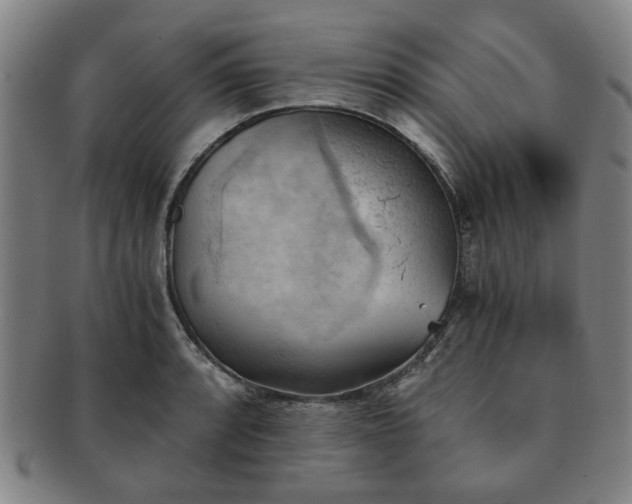 X0000091571088200708271152