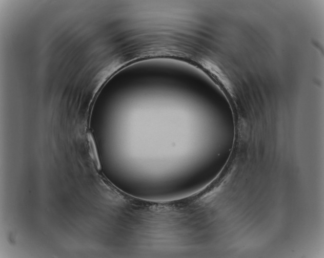 X0000091571089200708271152