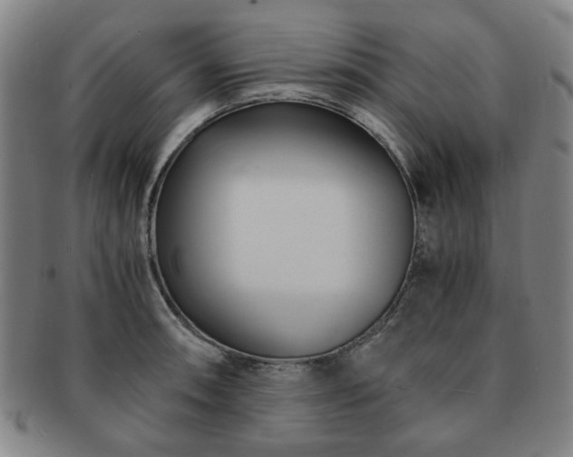 X0000091571090200708271152