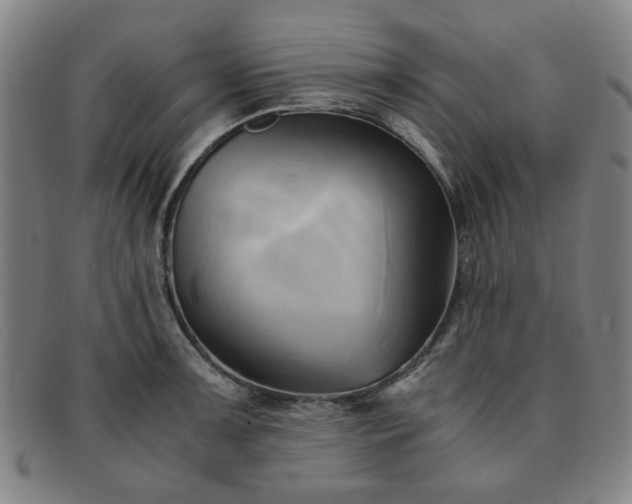 X0000091571091200708271152