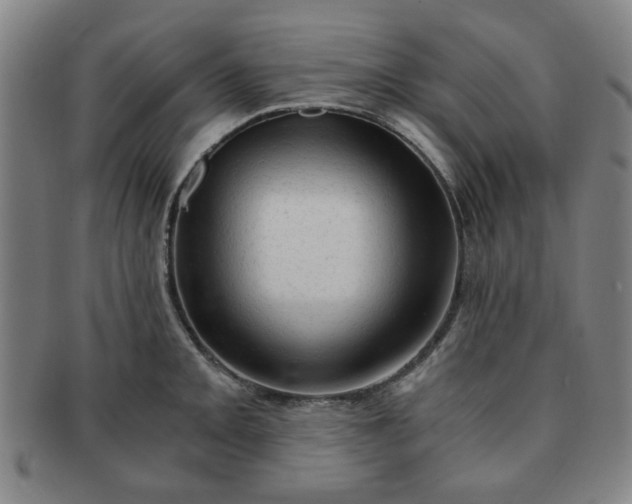 X0000091571093200708271152