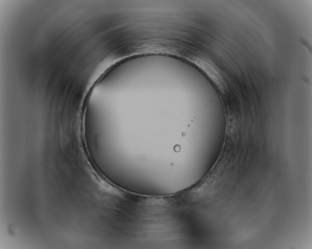 X0000091571094200708271152