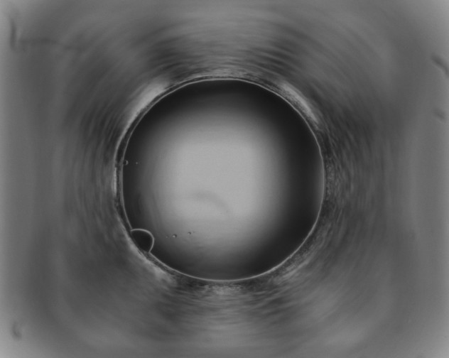 X0000091571095200708271152