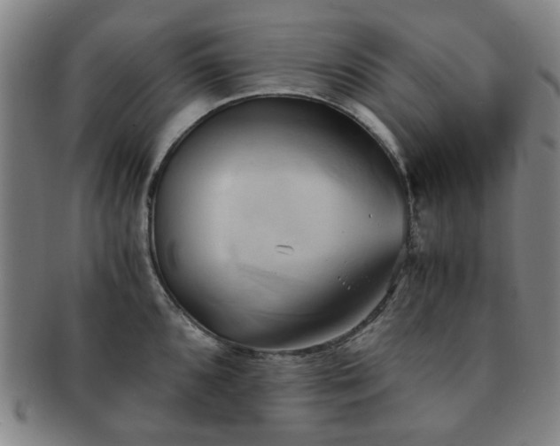 X0000091571096200708271152