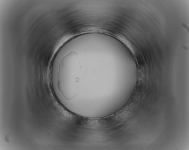 X0000091571098200708271152