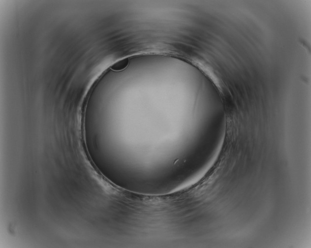 X0000091571099200708271152