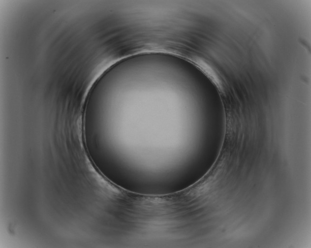 X0000091571100200708271152