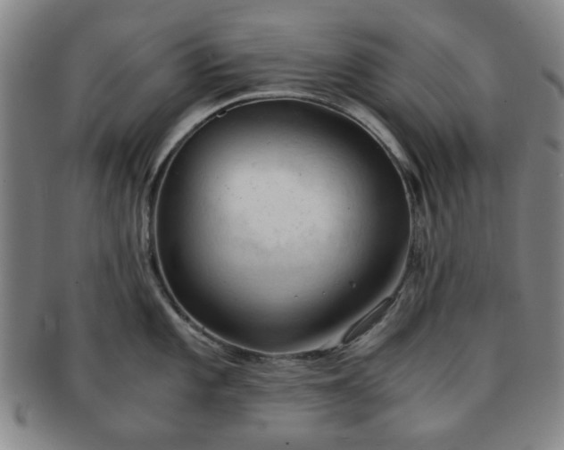 X0000091571101200708271152