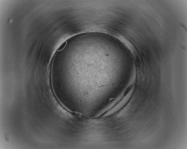 X0000091571102200708271152