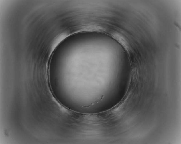 X0000091571103200708271152