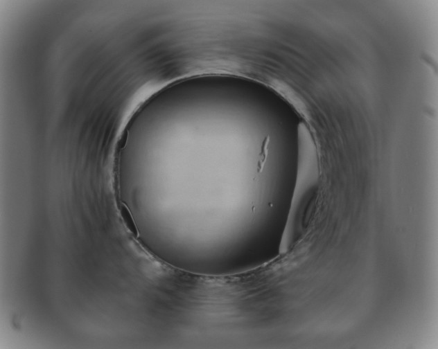 X0000091571104200708271152
