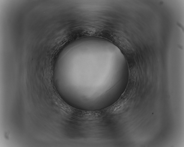 X0000091571105200708271152
