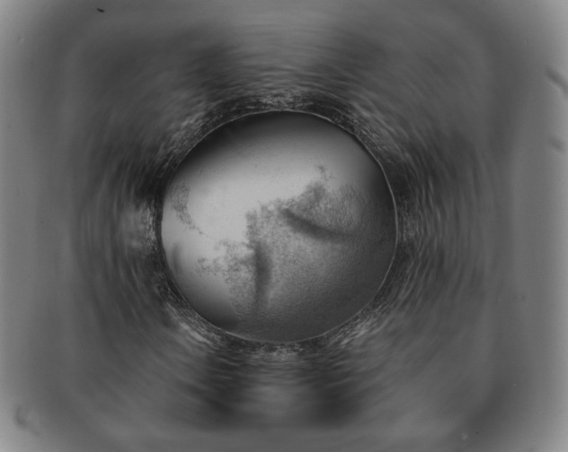 X0000091571106200708271152
