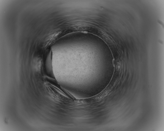 X0000091571108200708271152