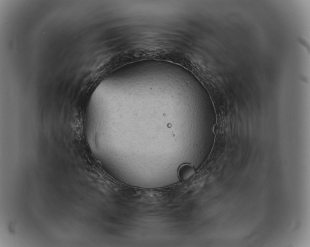 X0000091571109200708271152