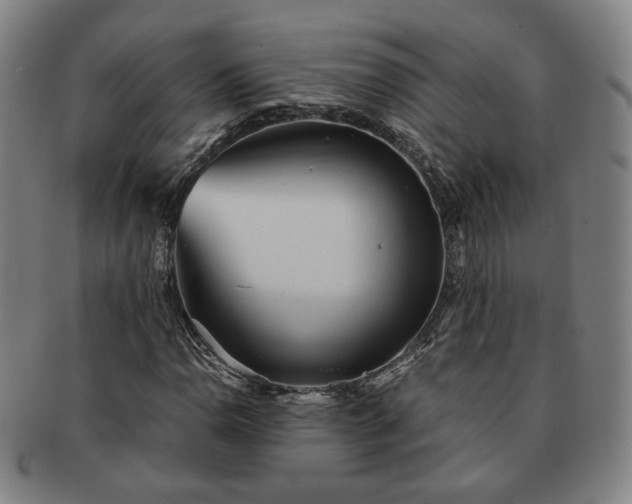 X0000091571110200708271152