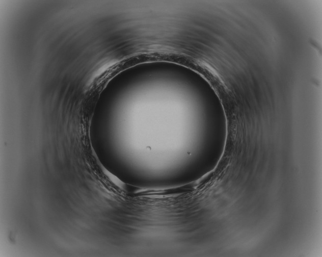 X0000091571112200708271152