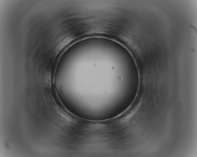 X0000091571113200708271152