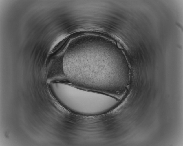 X0000091571114200708271152