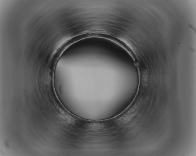 X0000091571115200708271152