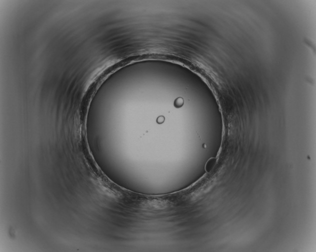 X0000091571117200708271152