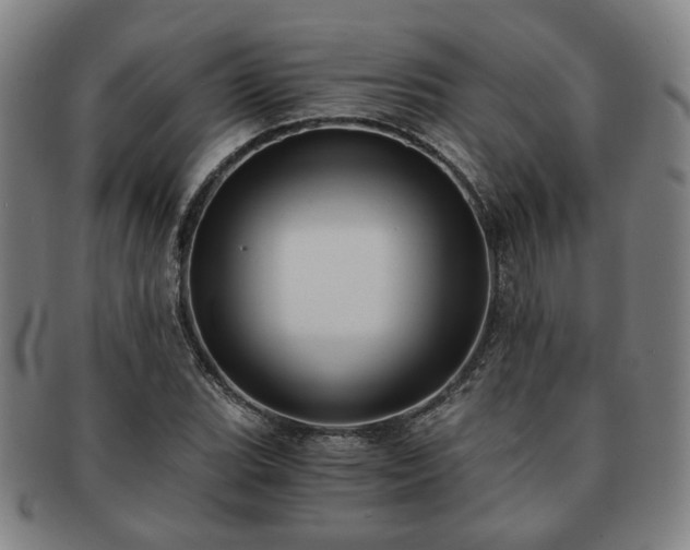 X0000091571119200708271152