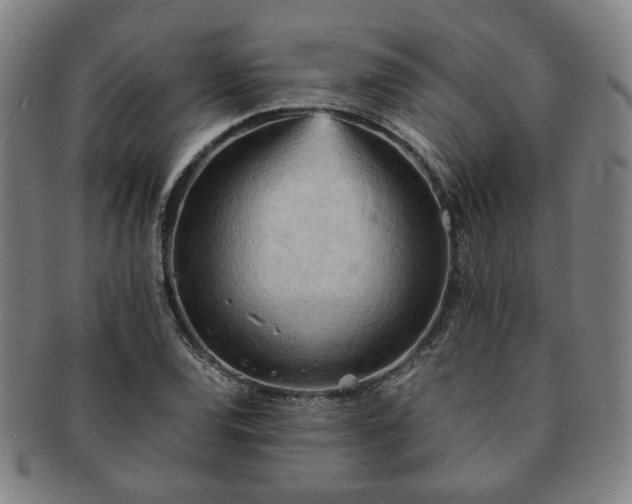 X0000091571120200708271152