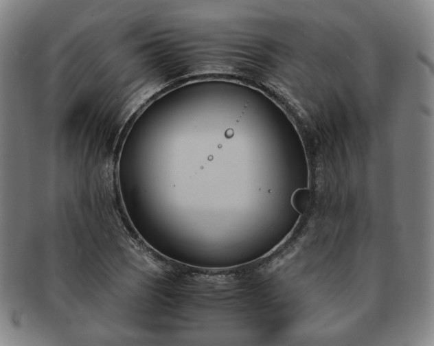 X0000091571121200708271152