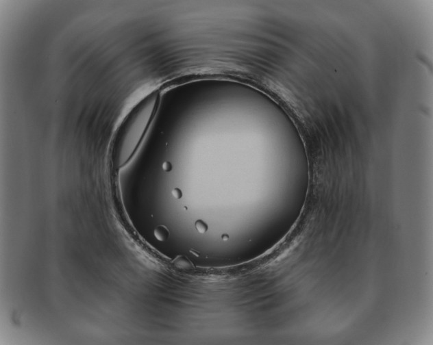 X0000091571122200708271152