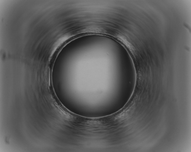 X0000091571123200708271152