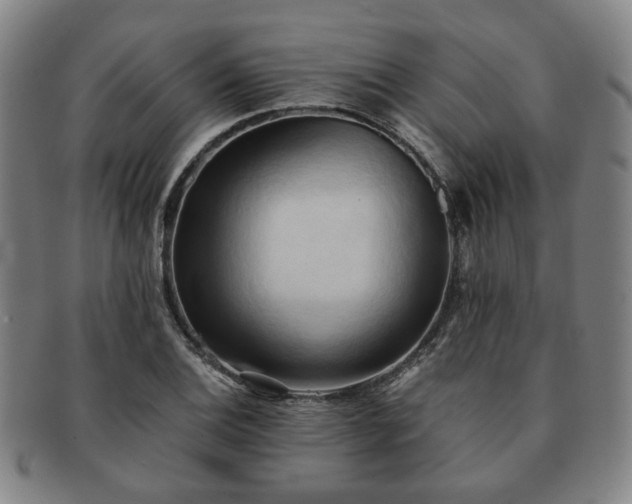 X0000091571124200708271152