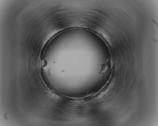 X0000091571125200708271152