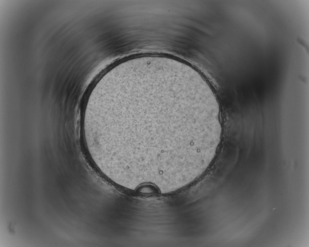 X0000091571126200708271152