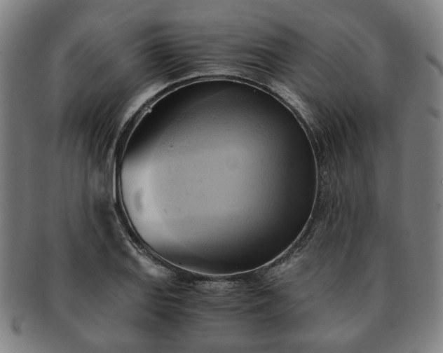 X0000091571127200708271152