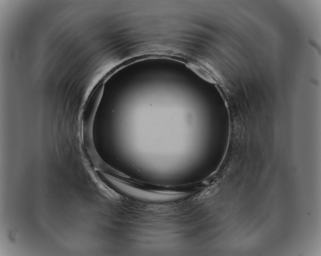X0000091571128200708271152