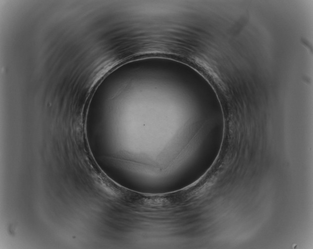 X0000091571129200708271152