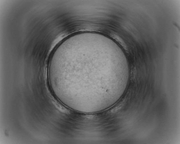 X0000091571130200708271152