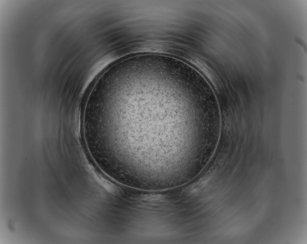 X0000091571131200708271152