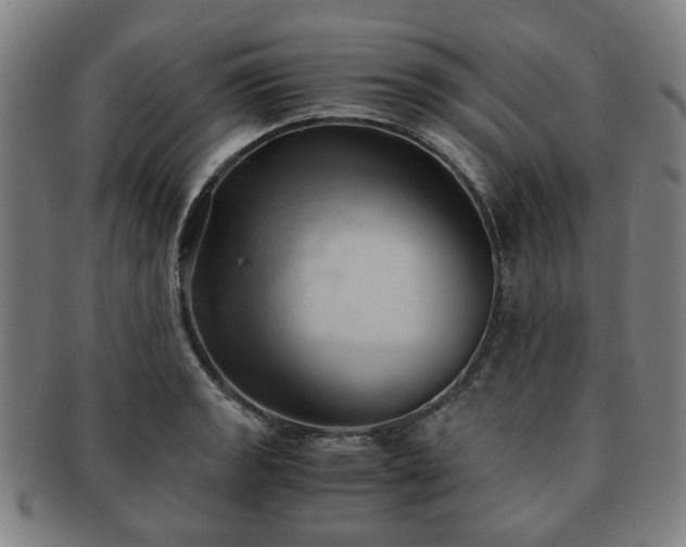 X0000091571133200708271152