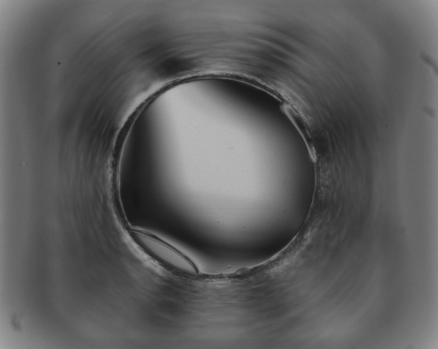 X0000091571134200708271152