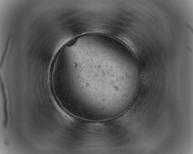 X0000091571135200708271152