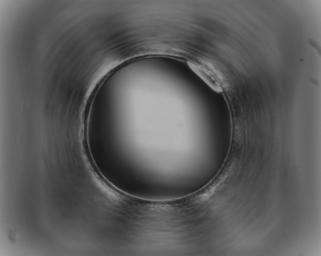 X0000091571136200708271152
