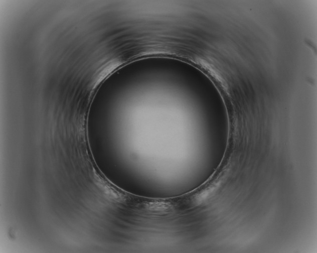 X0000091571137200708271152