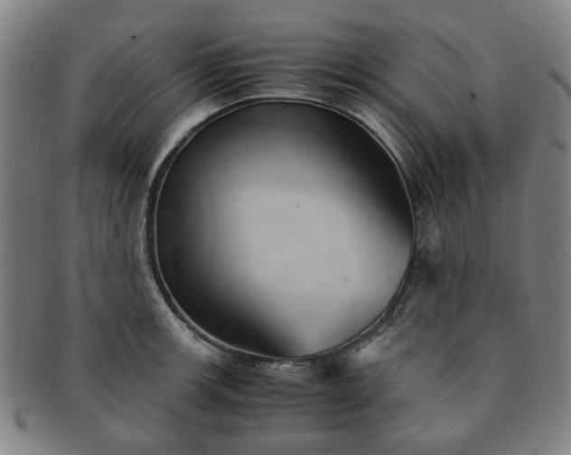 X0000091571139200708271152