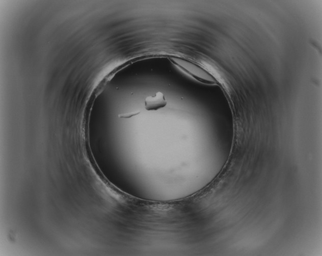 X0000091571141200708271152